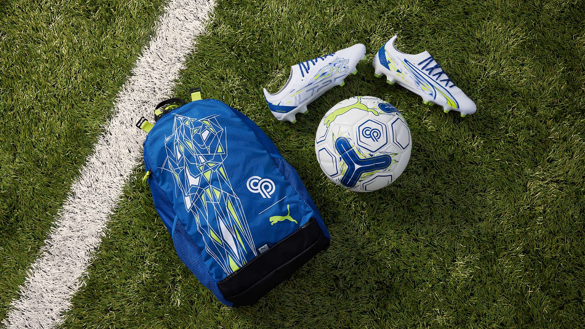 體育賽場上 體育賽場上